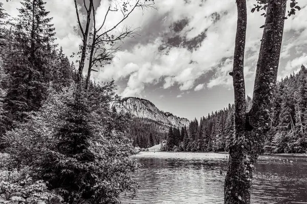 bir dağ manzarasının siyah beyaz fotoğrafı.