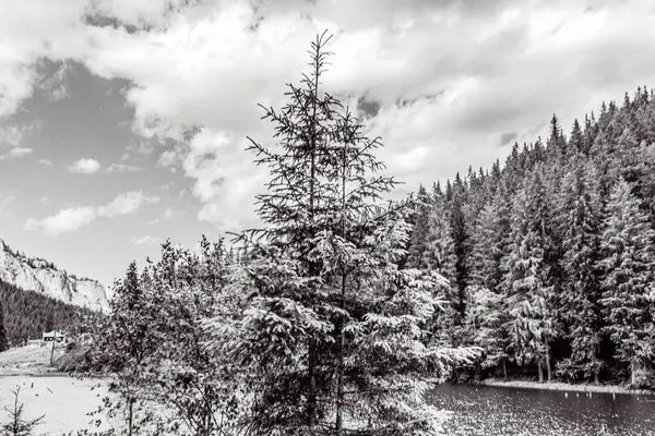Arkasında dağlar ve nehir olan güzel bir manzara.