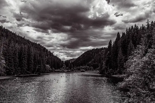 Göl ve ağaçlarla dolu güzel bir manzara