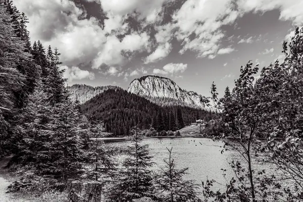 bir gölün siyah beyaz fotoğrafı