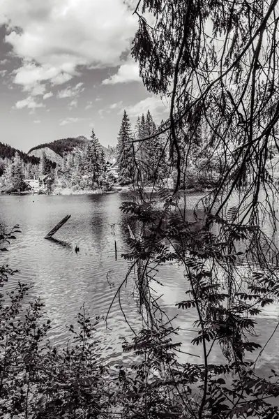 Güzel göl manzarası