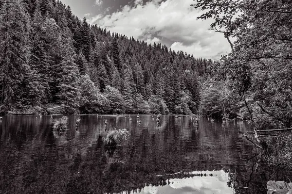 Yazın Karpat Dağları 'nda siyah beyaz göl