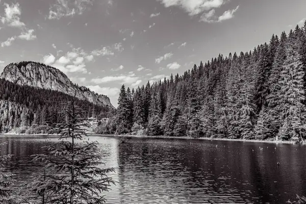Ormandaki dağların ve gölün siyah beyaz fotoğrafı.