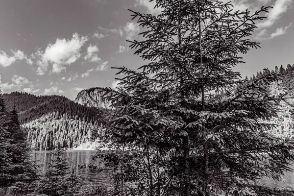 Dağlardaki güzel dağ manzarası