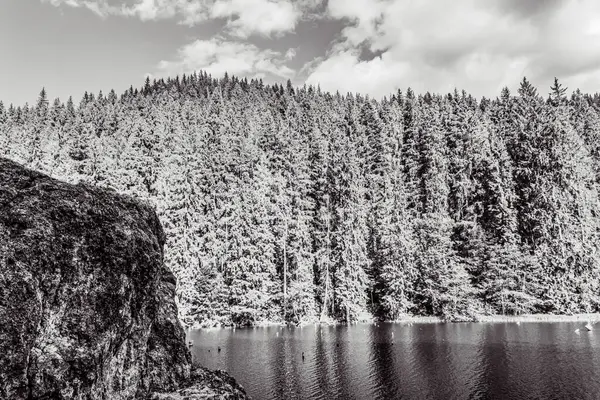Kış mevsiminde gölün siyah beyaz görüntüsü