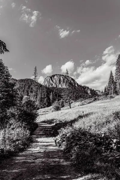 güzel bir dağ manzarasının siyah ve beyaz görüntüsü