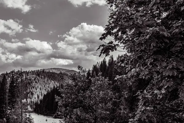 Karpat Dağları 'ndaki güzel dağ manzarası. siyah ve beyaz.