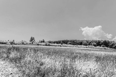 Arazinin siyah ve beyaz manzarası