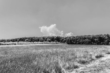 Sahadaki siyah beyaz duman