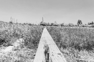 Mavi gökyüzünün altındaki bir arazide tahta bir köprünün dikey görüntüsü.