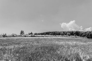 Gökyüzünde siyah ve beyaz bulutlar