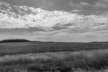 Rusya 'da kırsal bir alanda siyah ve beyaz bulutlar