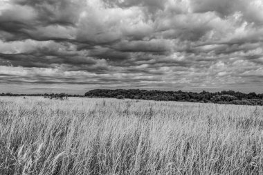 Doğanın güzel manzarası