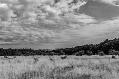 Almanya 'nın güney kesiminde güzel doğa ve doğa