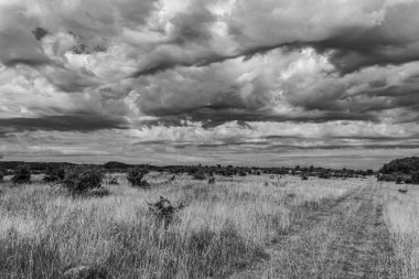 Beyaz bulutlu bulutlu güzel bir gökyüzü görüntüsü.
