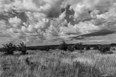 Kırsalda siyah beyaz fırtına bulutları