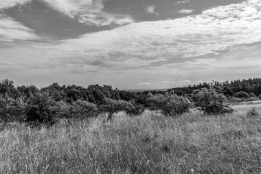 Dağlarda yaz manzarası