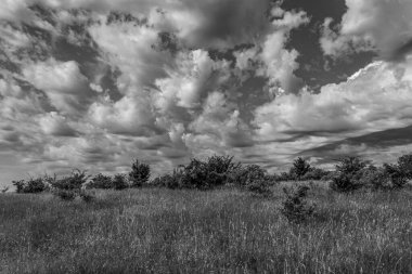 Dağların güzel manzarası