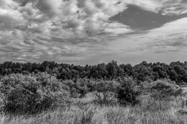 Doğanın güzel manzarası