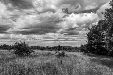 Arkasında ağaçlar ve bulutlu gökyüzü olan bir tarlanın gri tonlu görüntüsü.