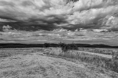 Kırsalda bulutlu bir gökyüzü olan manzara