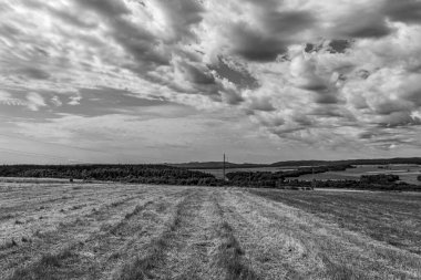 Güzel tarlanın siyah beyaz fotoğrafı.