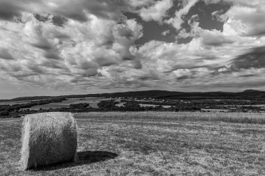 Siyah ve beyaz gökyüzü olan manzara
