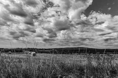 Bulutlu mavi gökyüzünün altındaki tarımın gri tonlu görüntüsü.