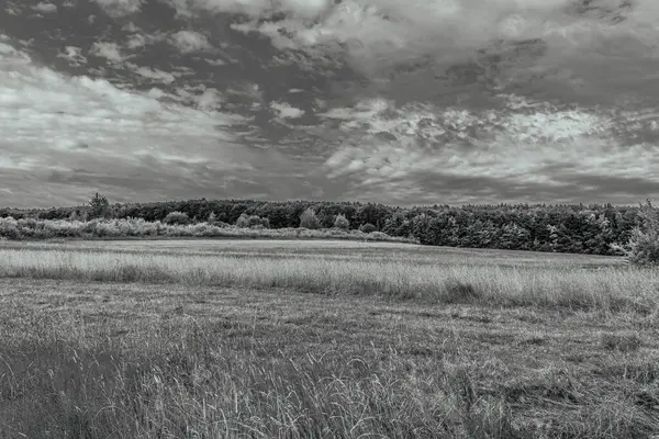 Kırsal kesimde güzel bir tarla