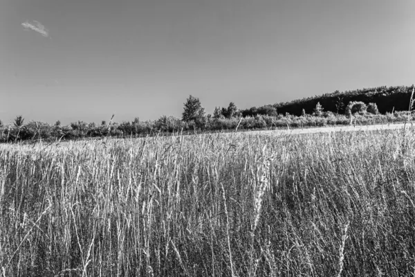 Kırsal alanın güzel manzarası