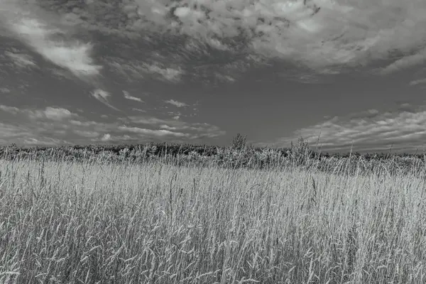 siyah ve beyaz manzara