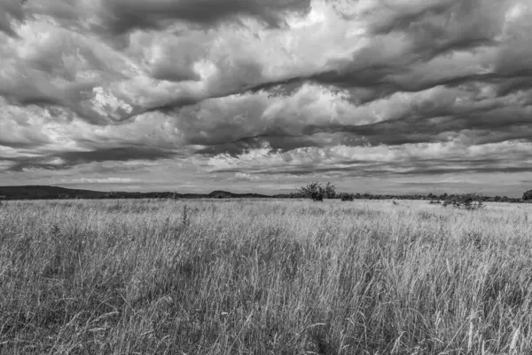 Çayırdaki Saskatchewan ovasının üzerinde fırtına bulutları.