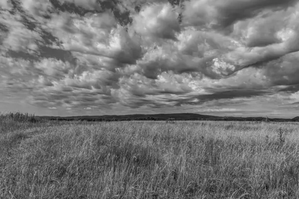 Siyah ve beyaz manzaranın üzerinde fırtına bulutları ve arka planda bir çimen tarlası.