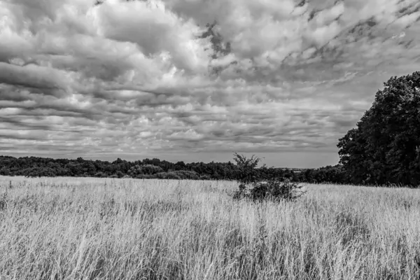 Bulutlu bir günde güzel bir manzara