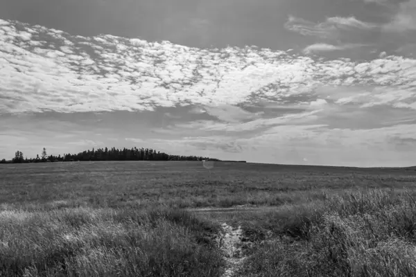 Tarlanın ve kırsalın güzel manzarası