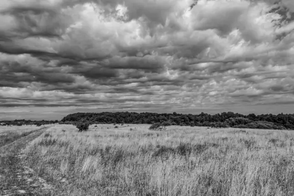 Polonya topraklarının üzerinde siyah ve beyaz bulutlar