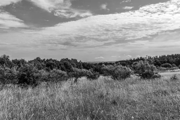 Dağlarda yaz manzarası