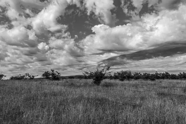 Arka planda güzel bulutlu bir gökyüzü olan bir alanın dikey görüntüsü