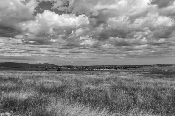 Ağaçlı ve bulutlu güzel bir manzara.