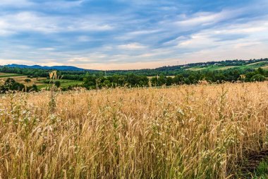 Dağları ve mavi gökyüzü olan güzel bir manzara.