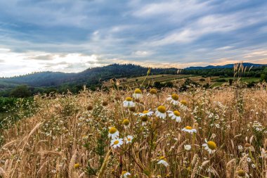 Dağlarda güzel bir gün batımı