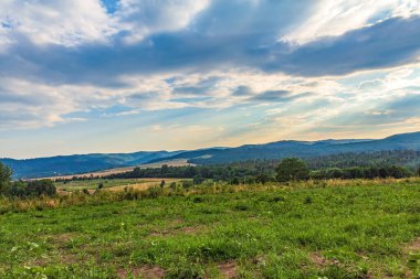 Karpatlar ve Ukrayna 'da dağları olan güzel yaz manzarası.