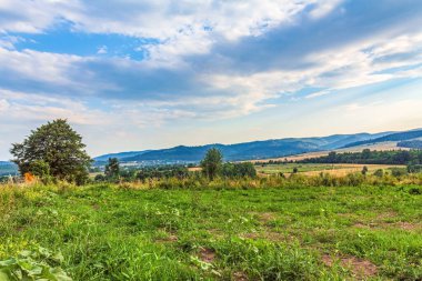 Güzel yaz manzarası. Karpat Dağları.