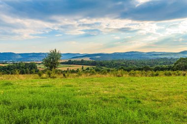 yeşil alan ve arka planda dağlar