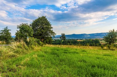 güzel yaz yeşil alan, yatay