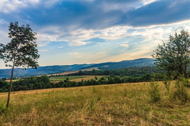 Karpat Dağları 'ndaki manzara