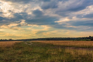 Bir tarlada yaz gün batımı