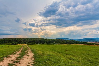 Çimen tarlası ve bulutlu gökyüzü olan güzel bir manzara.