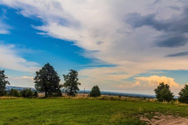 Ağacı ve dağı olan güzel bir manzara.