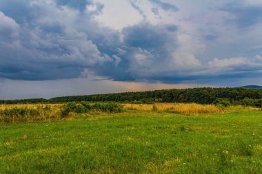 yeşil tarla ve mavi gökyüzü